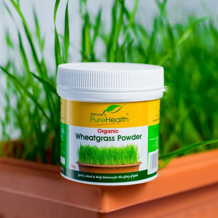Winniesphealth's tweet photo. Besides taking #wheatgrass in plain water, you can use the powder to boost the nutritional content of your fruit juice, smoothie, or porridge

#wheatgrasspowder https://t.co/A0YIVh4P6U