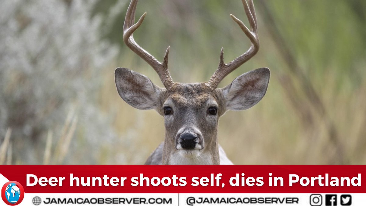 Jamaica Observer tweet media