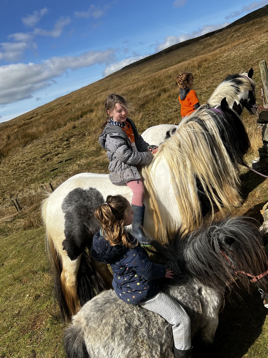 AmandaOwen8's tweet photo. Sitting pretty.🏇🏻🏇🏻🏇🏻
#yorkshire #horses #spring #sunshine #riding #horseback https://t.co/NraMWkP9hN