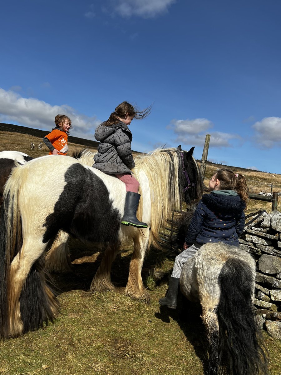 AmandaOwen8's tweet photo. Sitting pretty.🏇🏻🏇🏻🏇🏻
#yorkshire #horses #spring #sunshine #riding #horseback https://t.co/NraMWkP9hN