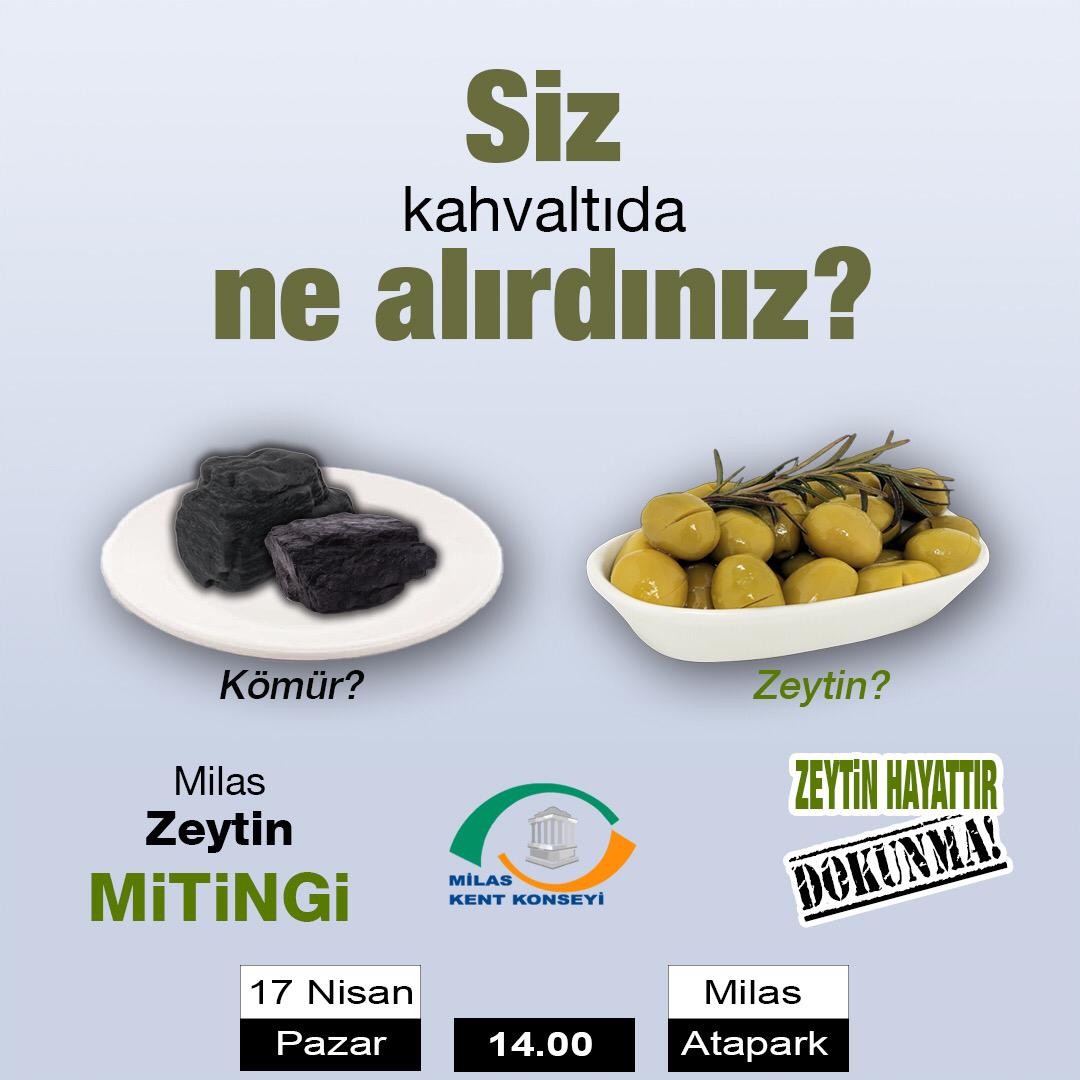 SenYatagan's tweet photo. #ZeytinHayattır #dokunma https://t.co/U3wPgZCXUP