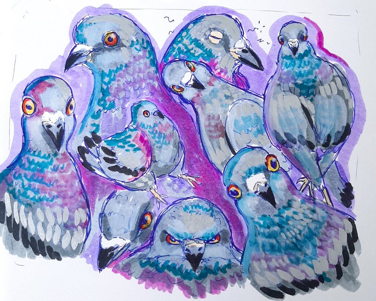 yulee06_7's tweet photo. Las palomas tienen un no sé qué, que me encanta.💙 https://t.co/Xf0YHQugdI