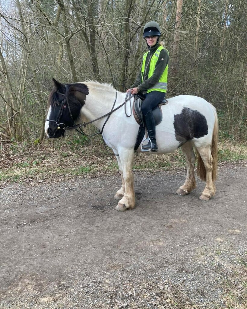 PonyTrek's tweet photo. Daisy @_daisyhoyland_ having fun on Heidi this afternoon. 🐴🐎 .
.
.
#horseride #horseriders #horseriding #horseback #horsebackriding #horsetrek #horsetrekking #ponytrek #ponytrekking #horsehack #horsehacking #hackingout #trailriding #trailridingadventures #horsesofinstagram #… https://t.co/229QVGMDN7