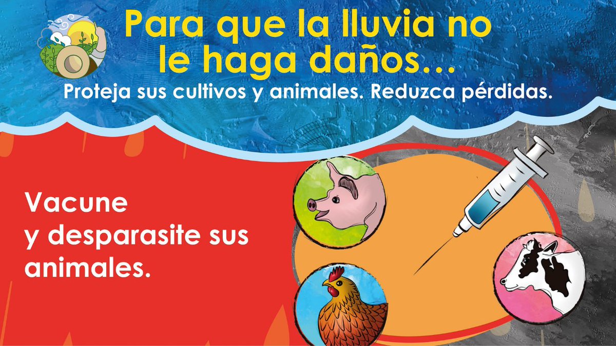 📣¡ATENCIÓN! 👩🏽‍🌾Amiga y 🙋🏿‍♂️amigo agricultor en 🌧️🌱🐄 #TemporadaDeLluvias aísle y trate a los animales que presenten problemas sanitarios o productivos. Siga las recomendaciones y comparta la información que brinda la #MesaTécnicaAgroclimática.

📑 bit.ly/BoletinesAgroc…