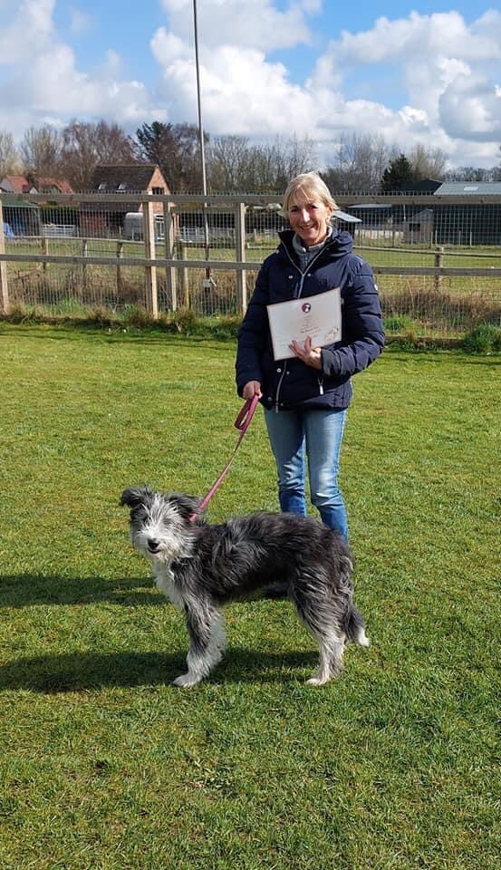 westlancscanine's tweet photo. It was a full day of tests today. First up one of our Bronze classes. Congratulations on achieving your Bronze good citizen award. #dogs #DogsofTwittter #dogtraining #doglovers #wlcc #dogclasses https://t.co/qyXDXm8TjM