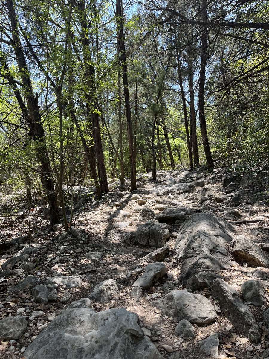 LPVhouse's tweet photo. A beautiful day in Austin for hikes and kites! #whyaustin https://t.co/s5b19MSLvx