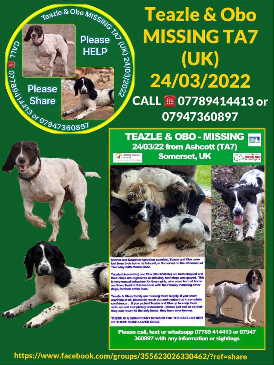 MissingPetsGB tweet picture