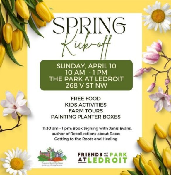 Fun event in the park next Sunday!