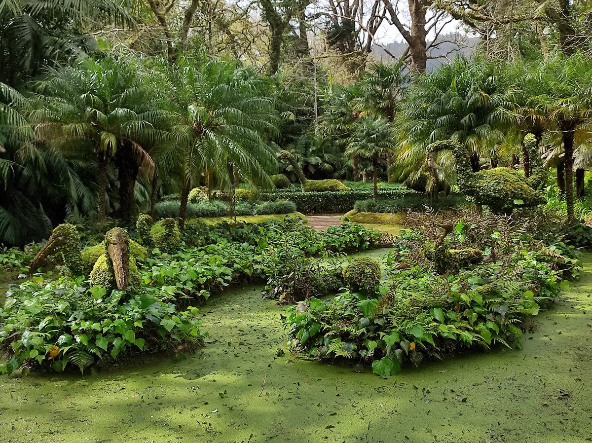 After a few days of rest tomorrow I need to get back to work. I want to go back to the island 🏝 😂 #azores #holidays