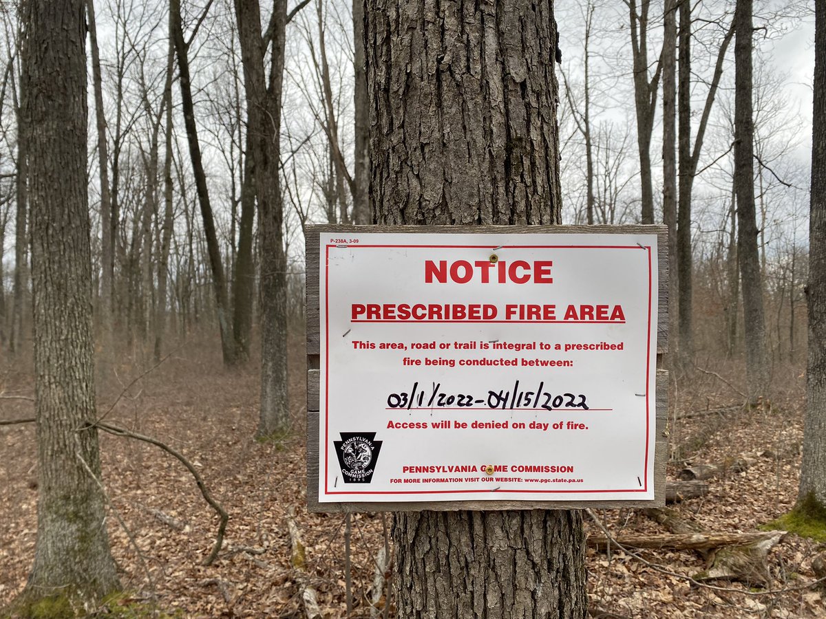 ThePorkScrew's tweet photo. Scotia gamelands @nvhhh trail. Controlled burn area… and no trying to decide what this is all about? 🤔 #hashingdoesntsuck #onon https://t.co/Yt9vTHZSWt