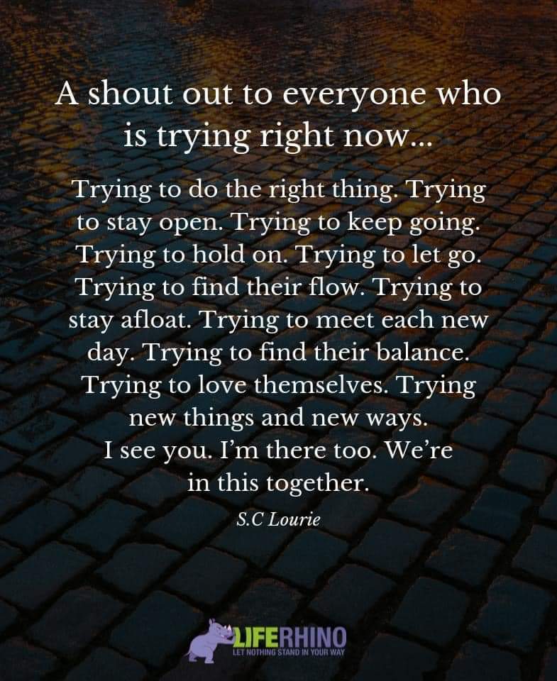 AmyHart619's tweet photo. https://t.co/iJDCB0qN2I