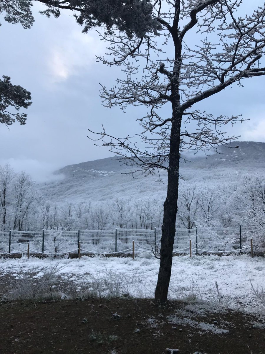 Primavera con nieve en Sanabria
Escapada cercana y sorprendente.
#Bonoturistico #Posadasreales #gastronomia  #parquemultiaventura #hotelrural