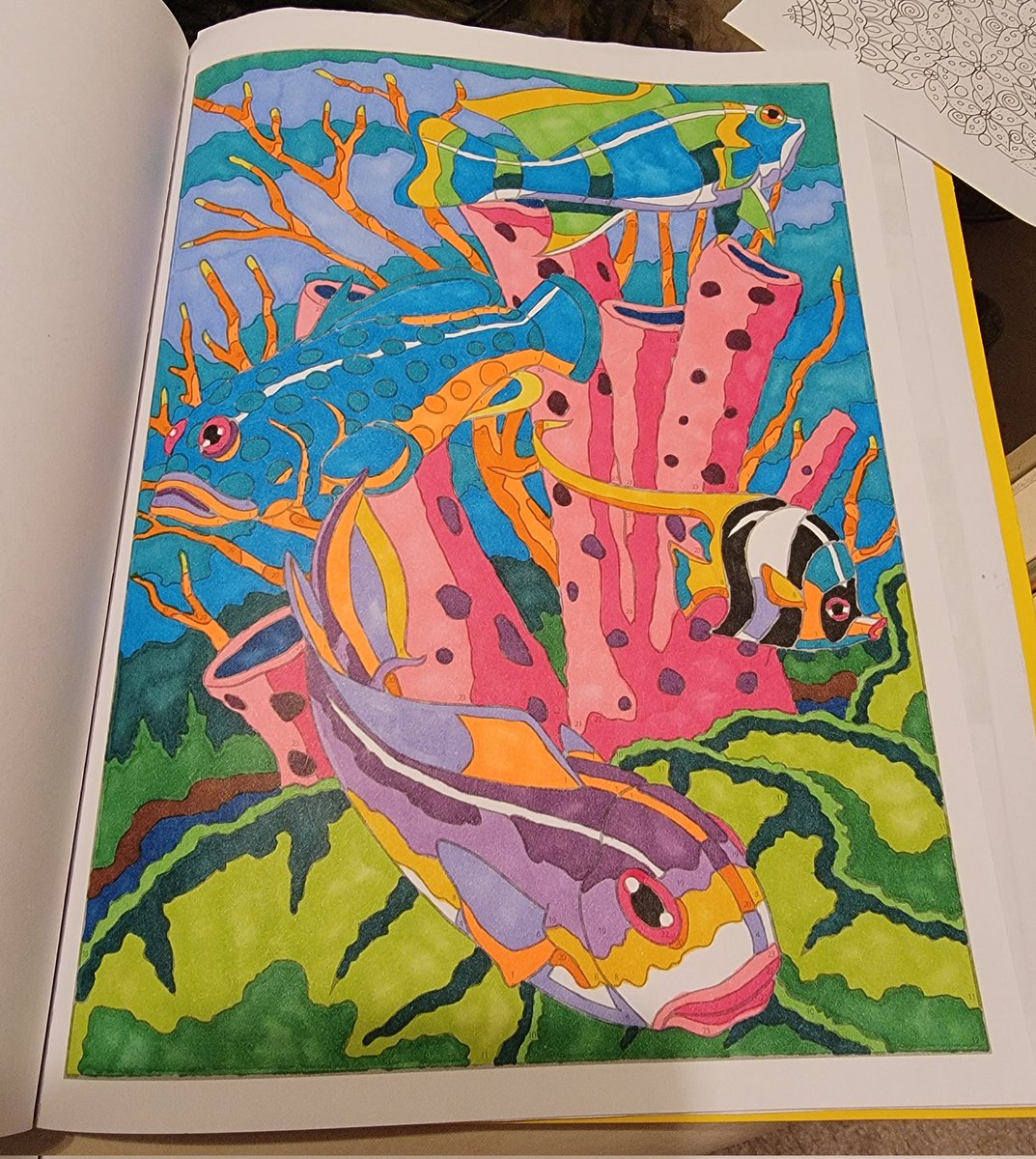 SierrasTweets's tweet photo. More with Ohuhu markers. https://t.co/lyDc4IpCsE