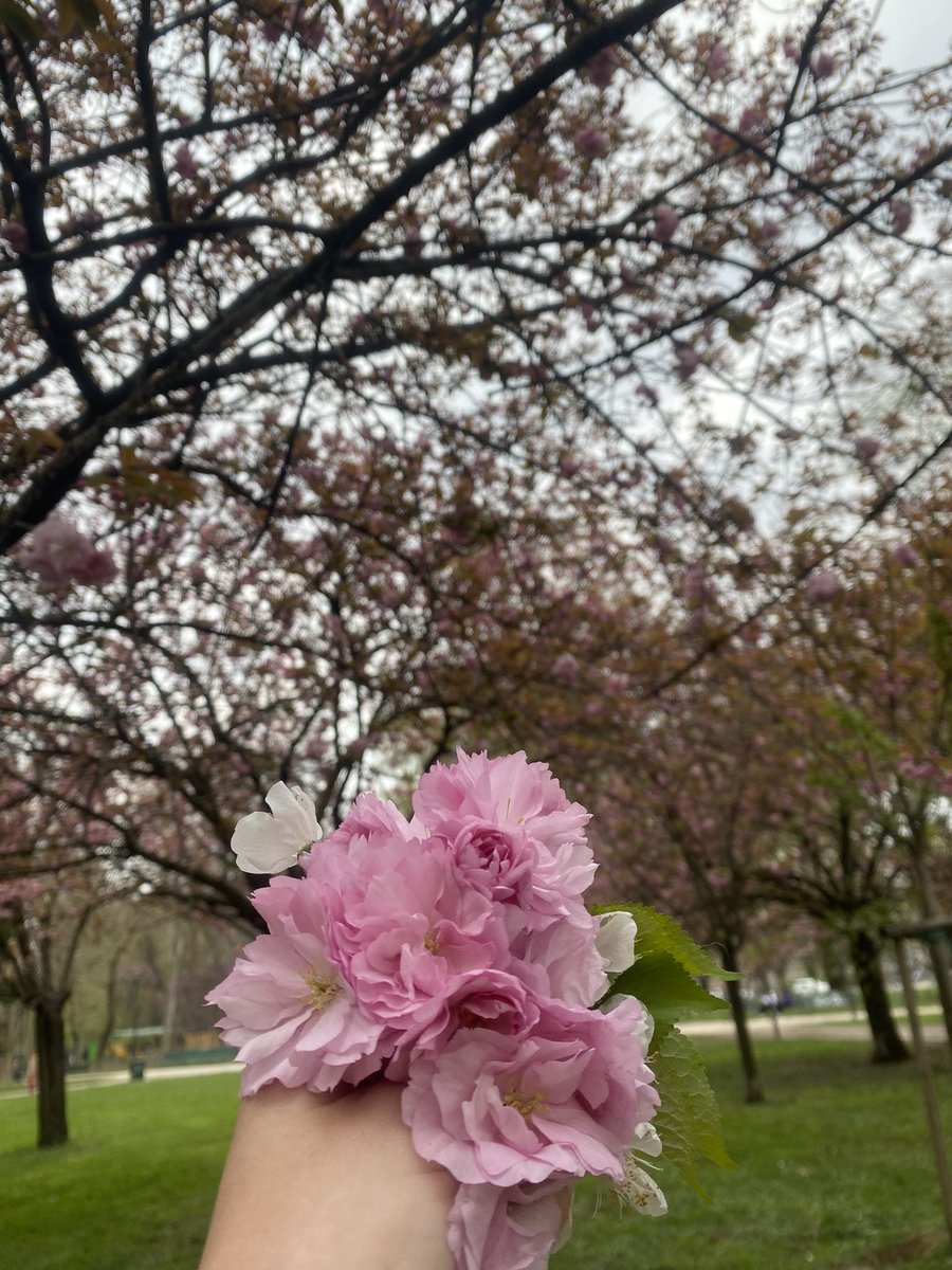 Manonboivert's tweet photo. Will never get over how beautiful spring in Milan is 💞🇮🇹 https://t.co/4B27Hn2FdU