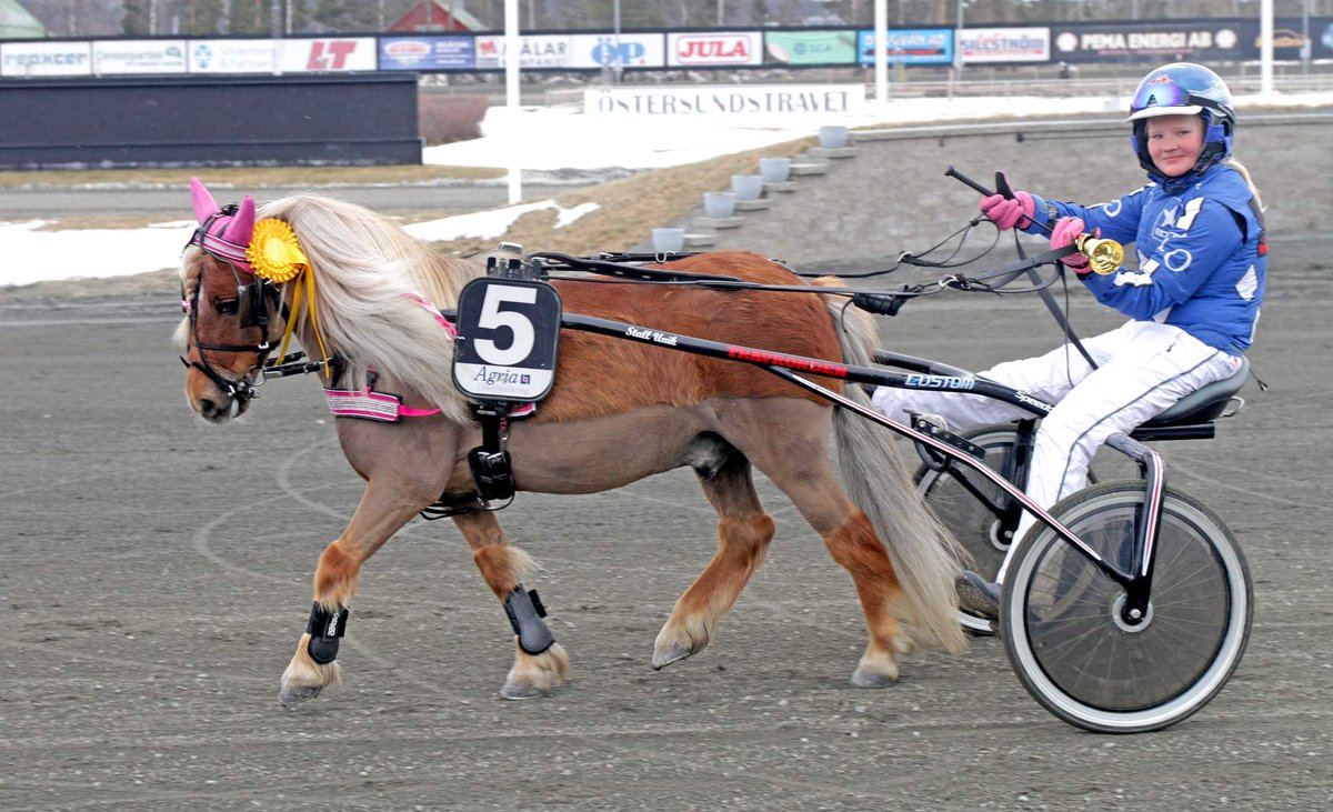 mooden92's tweet photo. Årsdebuten avklarad för Tindra, Shady och Palle🤩
En fin 2a plats med shady och en 3e plats med Palle 🤩
Inleder året 100% med topp 3 🤩
Foto taget av bästa Tom Jönehag
Månstorps Opal o Tindra på bilden.
#TeamTindraOlsson #Edelfoder #Poab https://t.co/SMOu0efp26