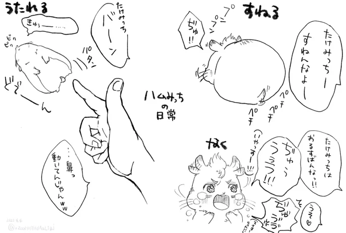 ハムみっちとマイキーくんの日常 