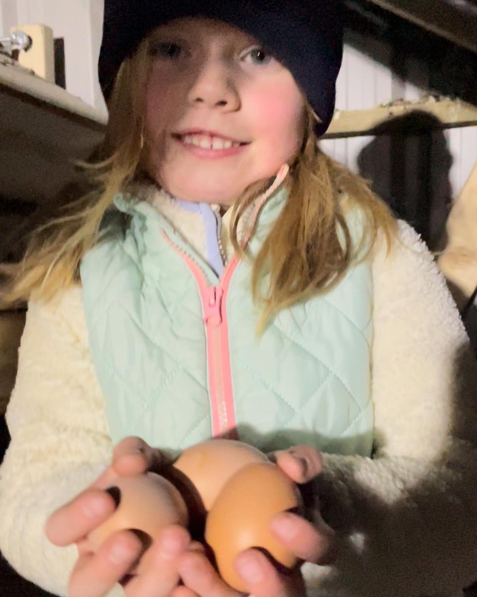 Dunnesfarmeggs's tweet photo. Massive excitement here on the farm this evening..A few of our point of lay pullets have started to lay🙌🙌 well only 3…But super excitement😃Lily was our chief egg collector and taste-tester😋And they passed the test🥇🥇#firsteggs #maynoothfarmer #maynooth #eggcollection #eggs https://t.co/gbaCO0cPjZ