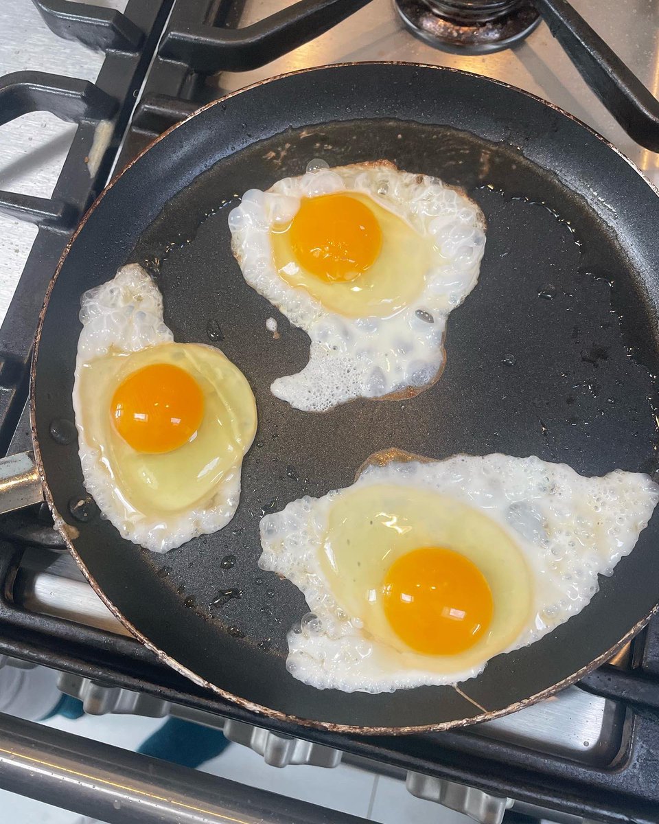 Dunnesfarmeggs's tweet photo. Massive excitement here on the farm this evening..A few of our point of lay pullets have started to lay🙌🙌 well only 3…But super excitement😃Lily was our chief egg collector and taste-tester😋And they passed the test🥇🥇#firsteggs #maynoothfarmer #maynooth #eggcollection #eggs https://t.co/gbaCO0cPjZ