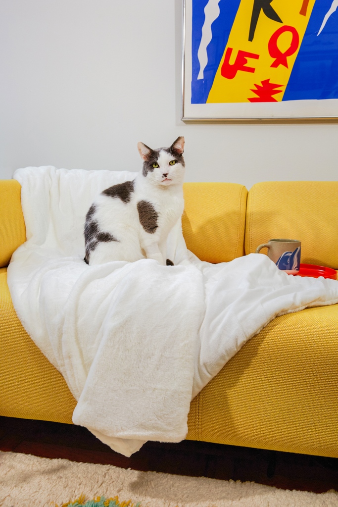 Looks like this blanket has a new owner 🥲