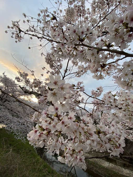 今日はちょっと晴れ 