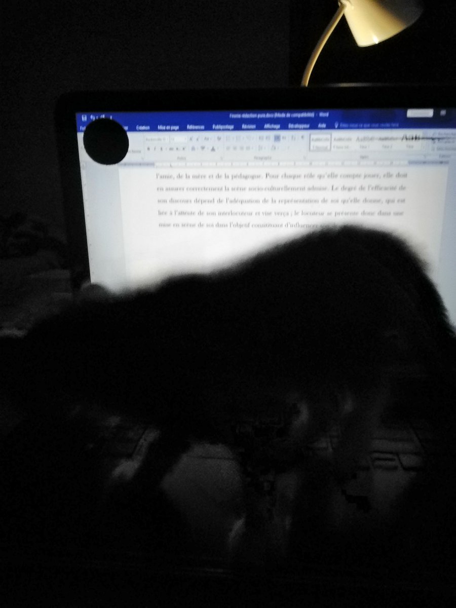 revouad26's tweet photo. #phdlife https://t.co/h67nH2Nefq