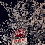上野公園の夜桜はとっても綺麗なのに…性病科の看板が写り込んでしまうw
