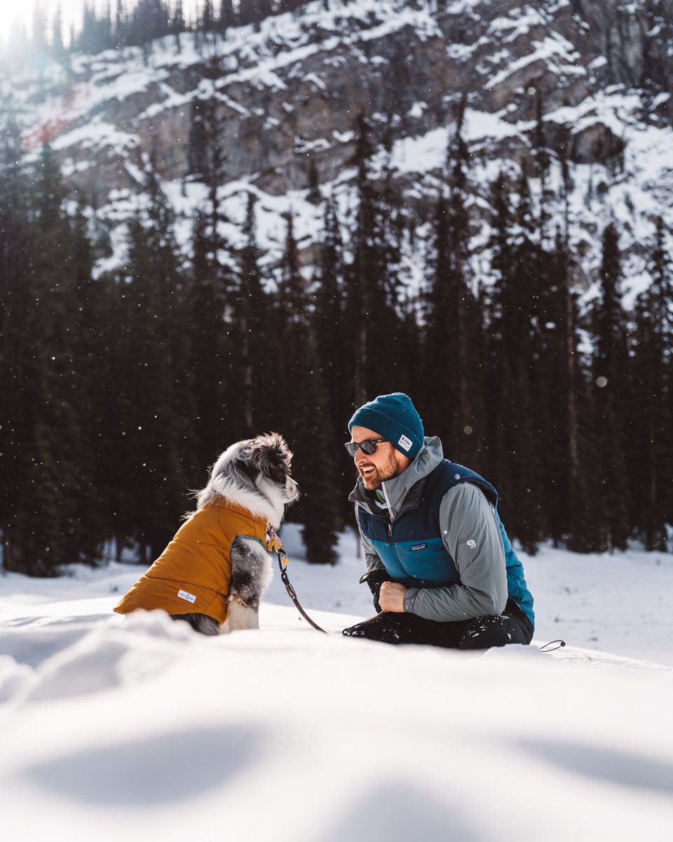 Look how happy she makes him 🥺 ⁠
⁠#mansbestfriend #dogdad