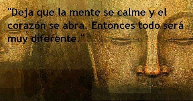 yosoydespertar tweet picture