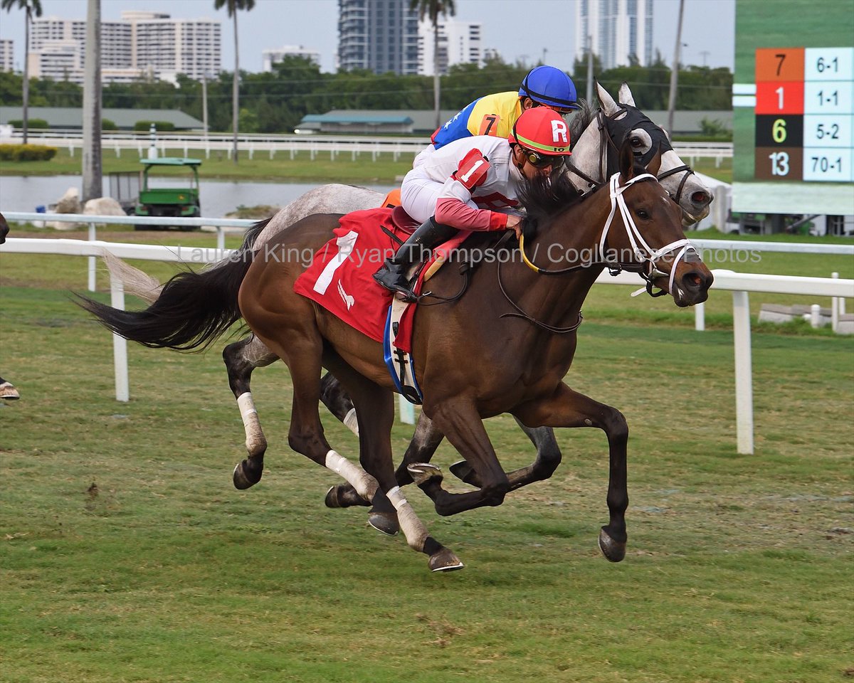 SaffieJosephJr's tweet photo. #3Apr Knowwhentofoldem surges late to win the #ChampionshipMeet's finale, saddled by @SaffieJosephJr ridden by Irad Ortiz, Jr. @iradortiz at #GulfstreamPark
Congratulations to owner @Ramsey_Farm
5️⃣8️⃣th victory for Saffie Joseph, Jr. #ChampionshipMeet
📸 @coglianesephoto https://t.co/47mEsoCh8R