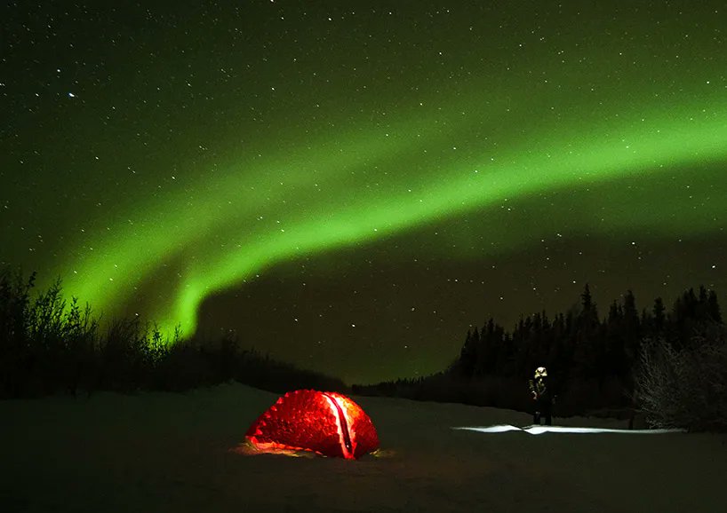 designboom tweet media