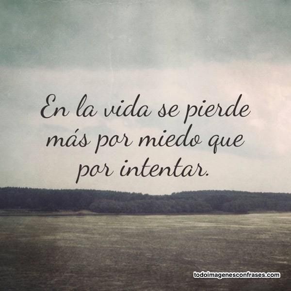 isaamfertabsol's tweet photo. @literlandweb1 Perder ese miedo... ✍️ 📚 https://t.co/VnaZAQfsUQ