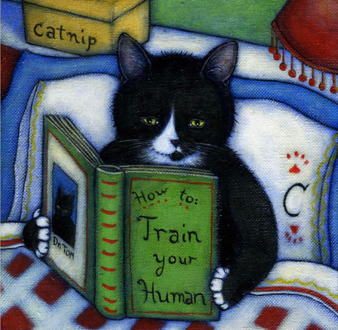 Кот с книгой