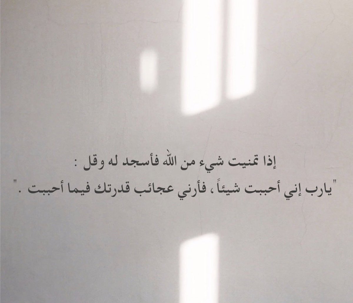 A88Majid's tweet photo. https://t.co/TLF1Cl2HEY
