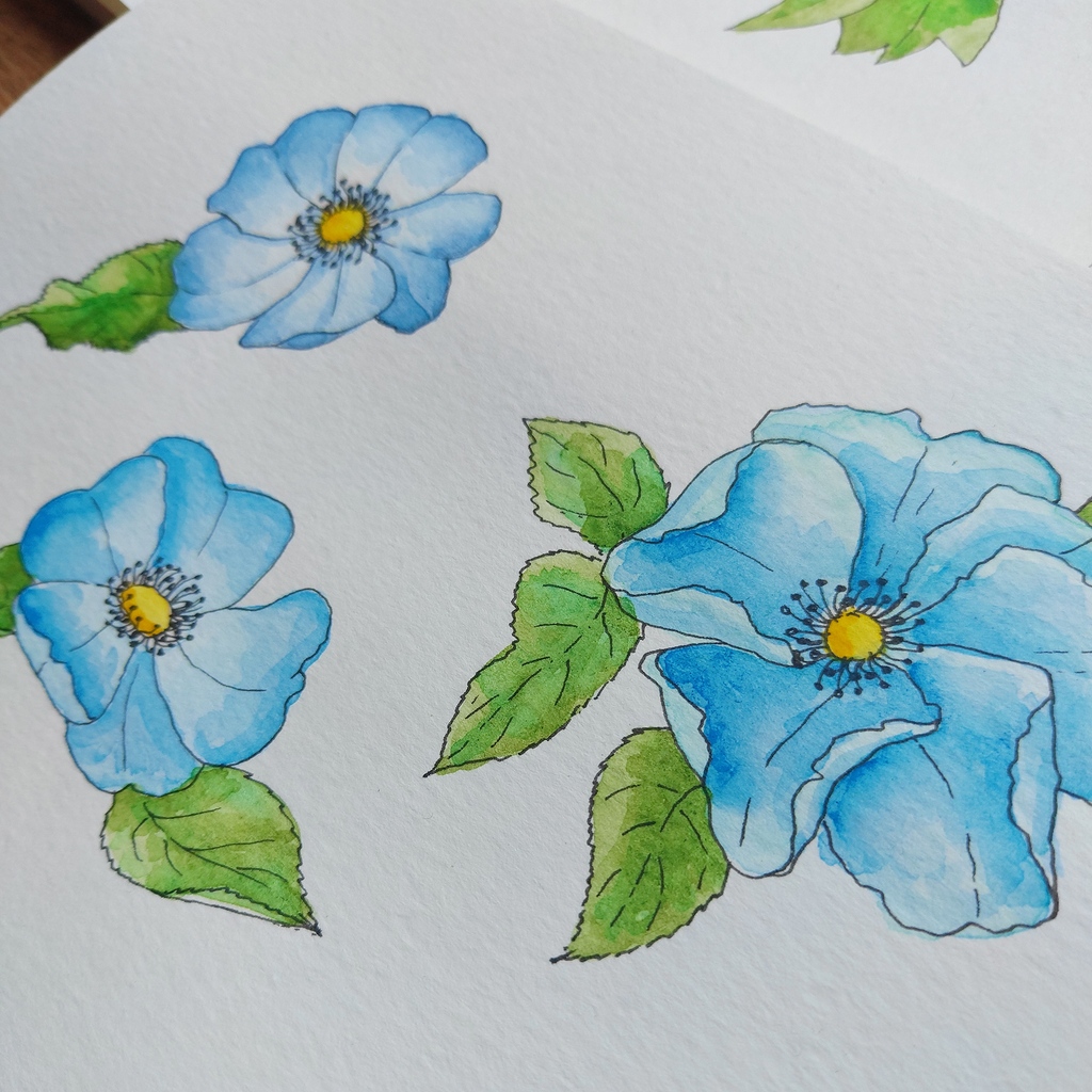 PennyRoyalDesig's tweet photo. I've been working on a new design for @spoonflower 's Garden Party #spoonflowerchallenge 💗

Alllll the pretty things coming out of my pen and paintbrush the last few days #happyplace

https://t.co/DAqaxDPfVi

#spoonflowerdesigner
#dalerrowneyaquafine  #dalerrowneywatercolor https://t.co/SSZiuLYz2u