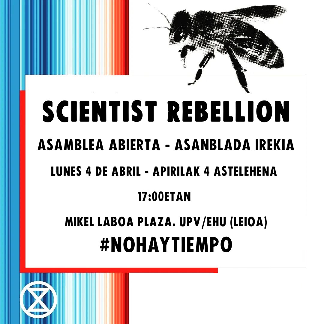 XRBizkaia's tweet photo. #RebelionCientifica en Euskadi
Nota de prensa (Cast / Eus):
https://t.co/T98lM66np0
@EsRebelCientif  @ScientistRebel1 
#emergenciaclimática #nohaytiempo #scientistrebellion https://t.co/wjnXonwuXg