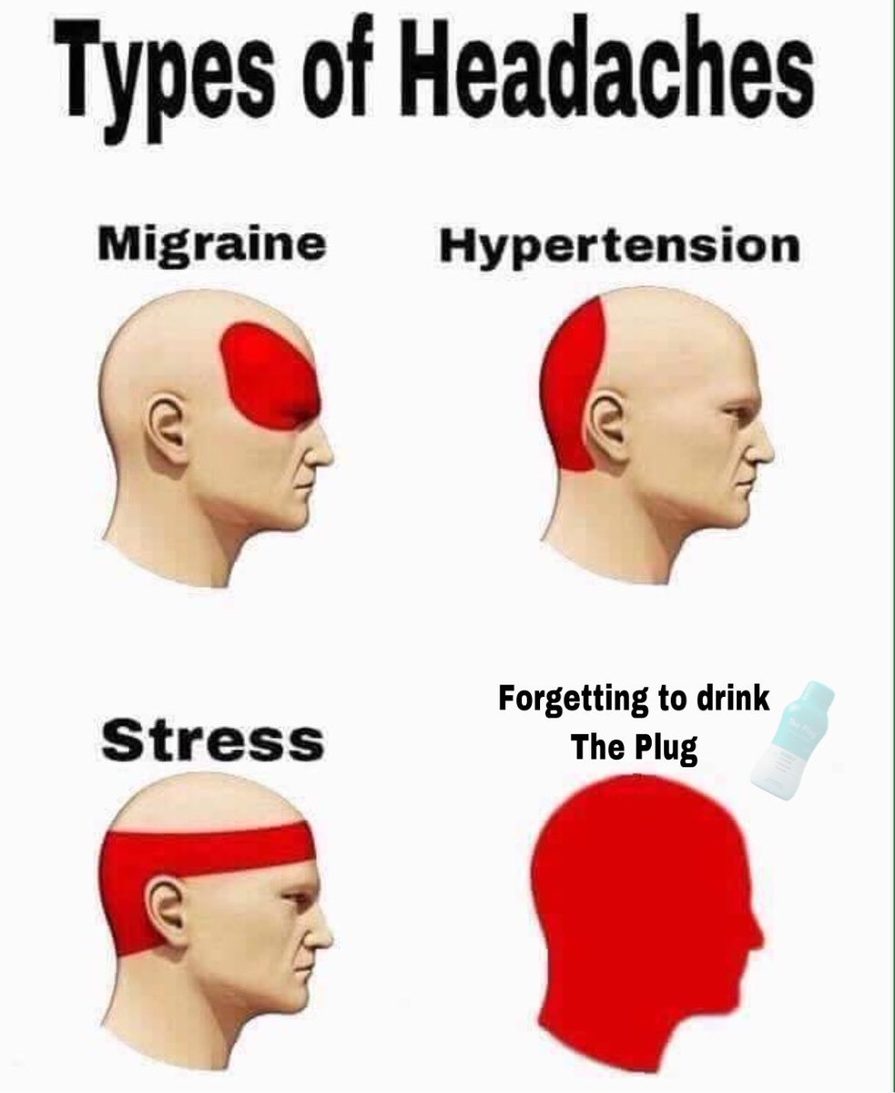 The Plug tweet media