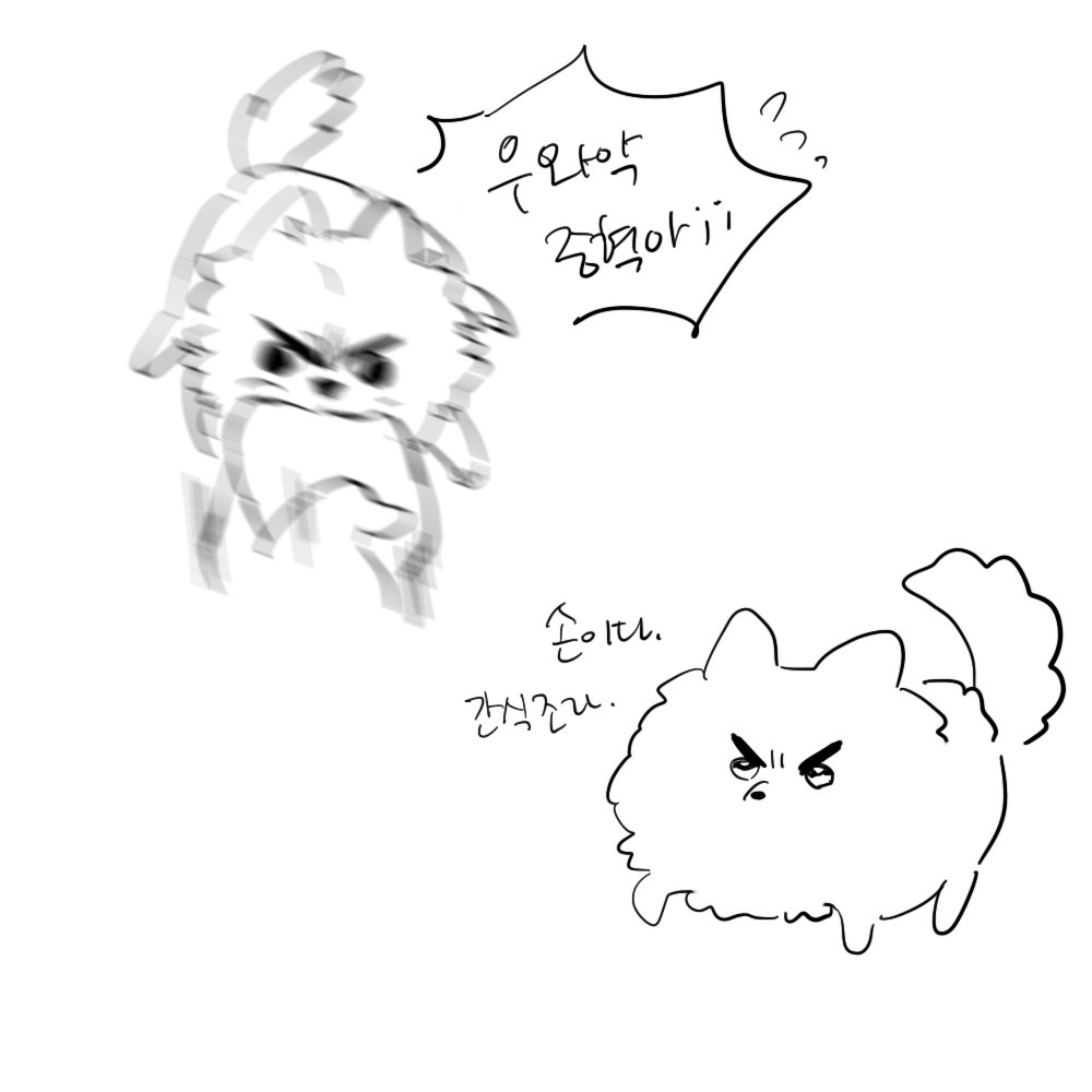 oyya_rang1's tweet photo. 포메쭝... https://t.co/uHiwcWdPhj