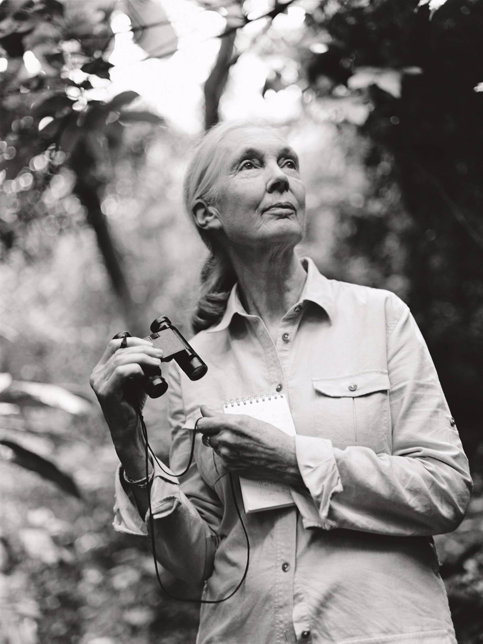 Happy 88th Birthday Jane Goodall! 
