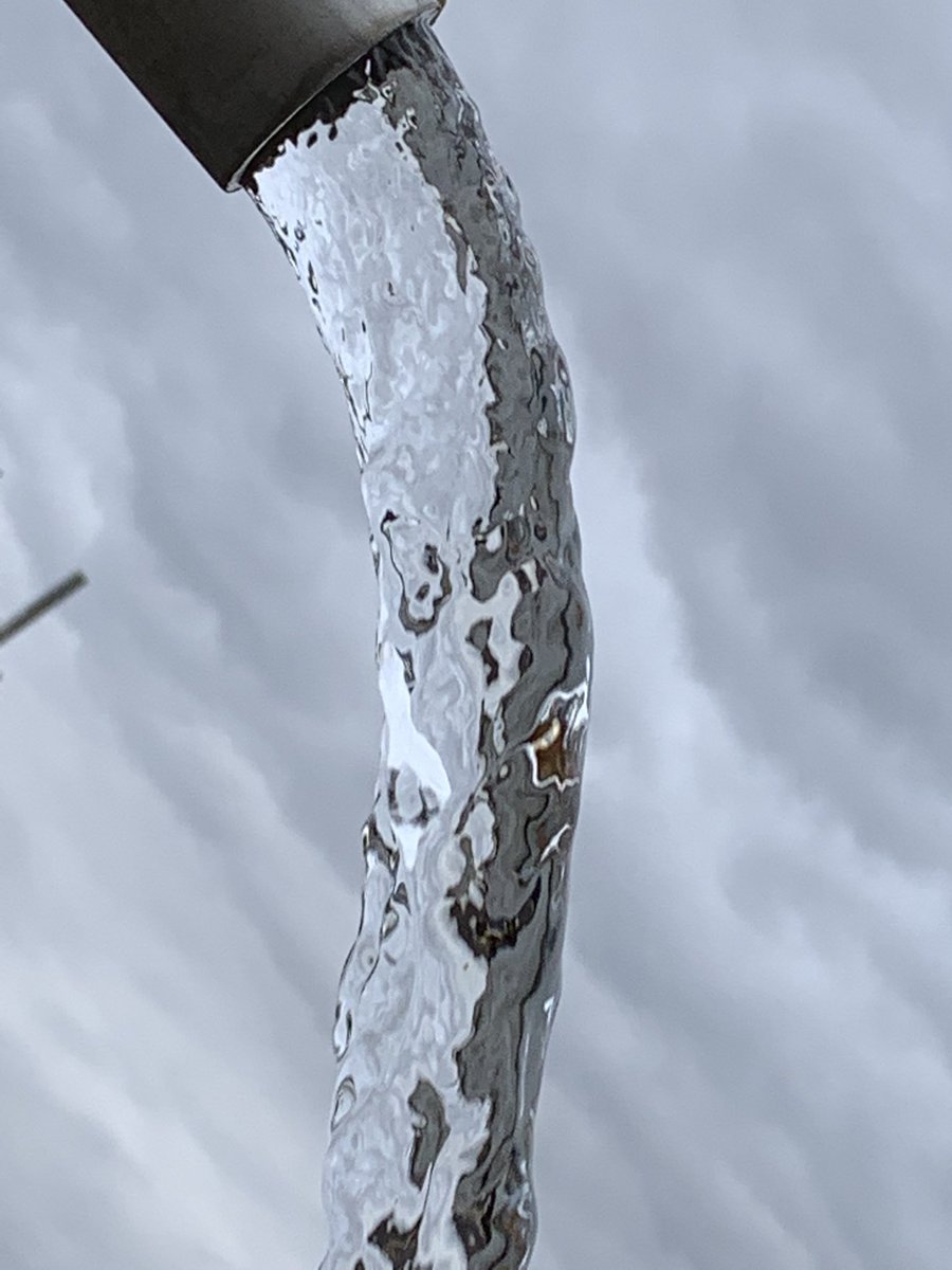 SpringValleyMa6's tweet image. The RO system working hard today discarding the water and cutting down on our boiling time. 🍁