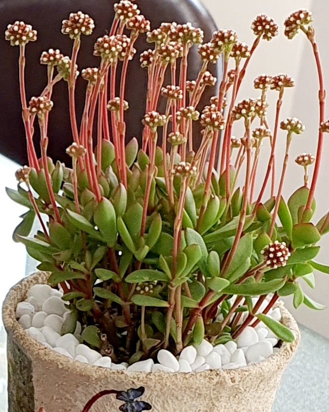 자연스럽게!! 오밀조밀 화합!