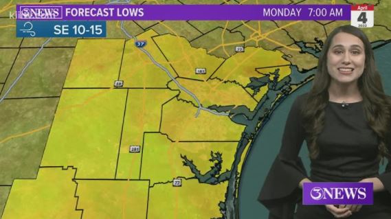 kristinwwx's tweet photo. First: I have a degree in meteorology, which makes me a meteorologist. 

Second: I've gotten plenty of complements on this dress. As long as my bosses have no issues with it, neither should you.

Third: don't expect anonymity next time.😉 https://t.co/TX3vxo0h69