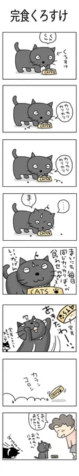 完食くろすけ#こんなん描いてます #自作まんが #漫画 #猫まんが #4コママンガ #NEKO3 