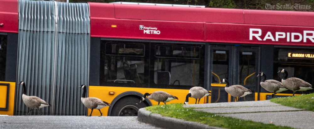 Ken Lambert tweet media