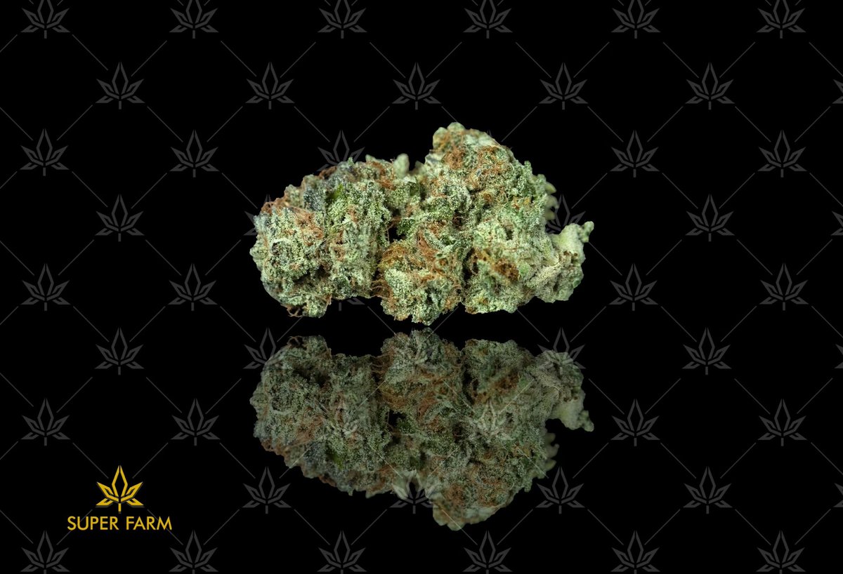 Superfarmco's tweet photo. Life is better with flowers 🌸 

Strain: BANANA M.A.C

CROSS OF BANANA KUSH AND  MIRACLE ALIEN COOKIES 🍪 👽🤙🏼

#grownwithlove #hightimes #cannabiscommunity https://t.co/rbnf5Dpi2k
