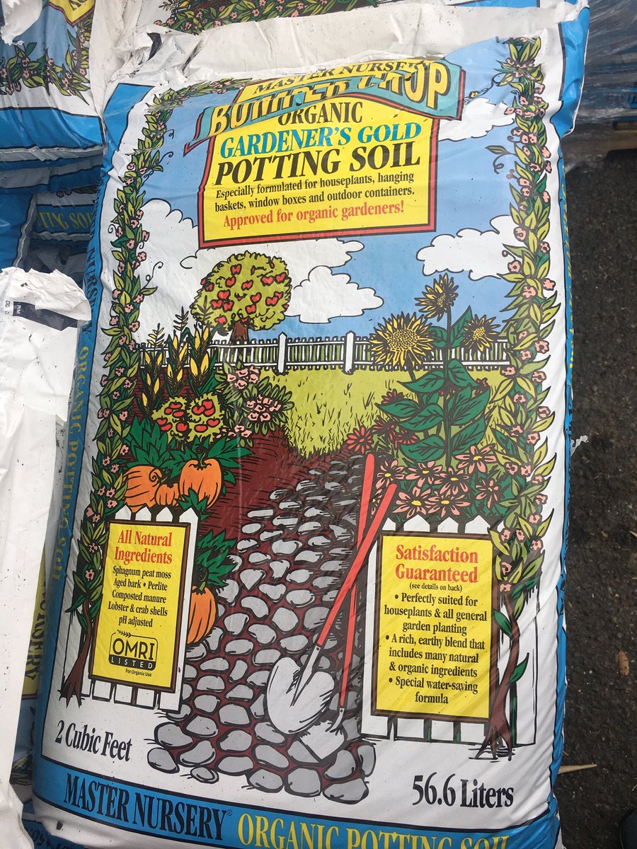 Virginia_Delish's tweet photo. Workout of the day: soil/compost bag lift!💪 Planting some cool weather edibles while the spring blossoms are at their peak🌱💚 @GreenstreetNOVA #AlexandriaVA https://t.co/vu9zeepoxm