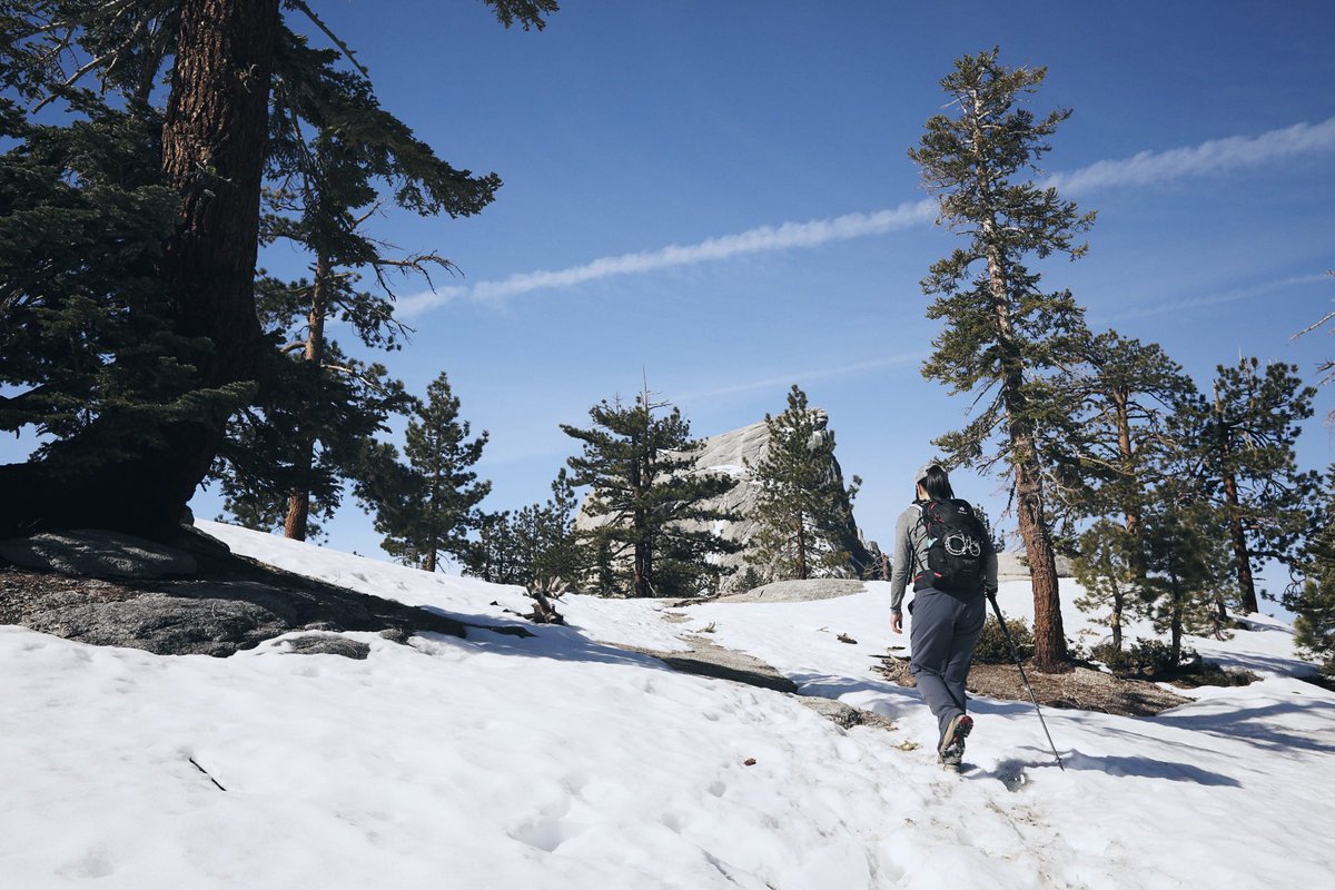 Steven Yan tweet media