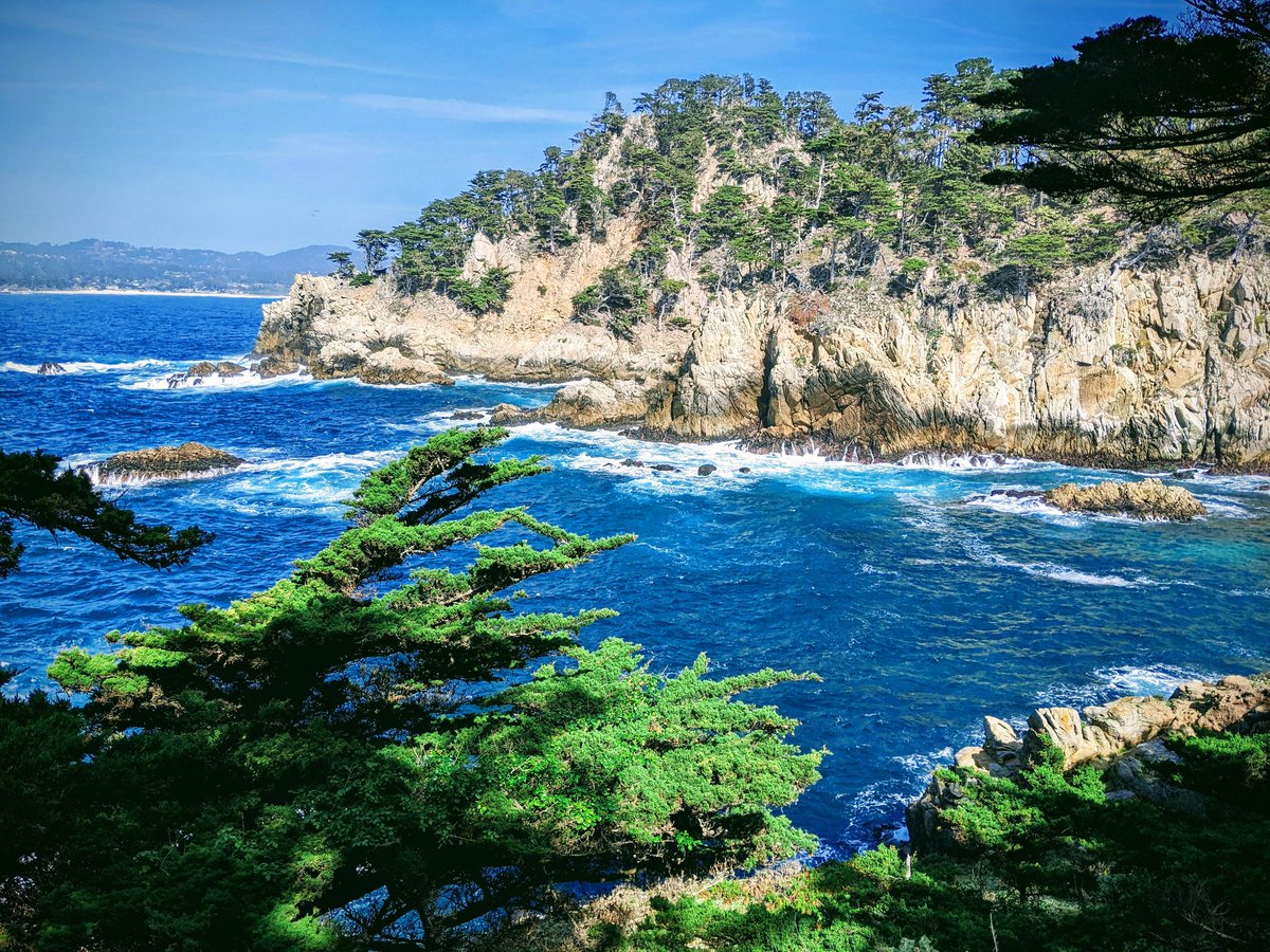scottmacleod's tweet photo. Carmel Mission
on the way to very Beautiful #PtLobos ~
https://t.co/RcvaqNFbny WALK IN in #StreetView in #wuAsVR?
https://t.co/Y5d9KFGWHU Roping a Grizzly on beach painting 1940
near #CarmelLagoon
https://t.co/jcOPSa25qa
(https://t.co/1th4AJi7cr) on Sat 4/2/22 were incredible! https://t.co/F24blQ1o4Y