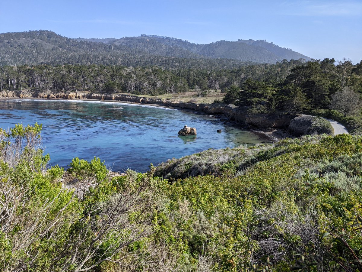 scottmacleod's tweet photo. Carmel Mission
on the way to very Beautiful #PtLobos ~
https://t.co/RcvaqNFbny WALK IN in #StreetView in #wuAsVR?
https://t.co/Y5d9KFGWHU Roping a Grizzly on beach painting 1940
near #CarmelLagoon
https://t.co/jcOPSa25qa
(https://t.co/1th4AJi7cr) on Sat 4/2/22 were incredible! https://t.co/F24blQ1o4Y