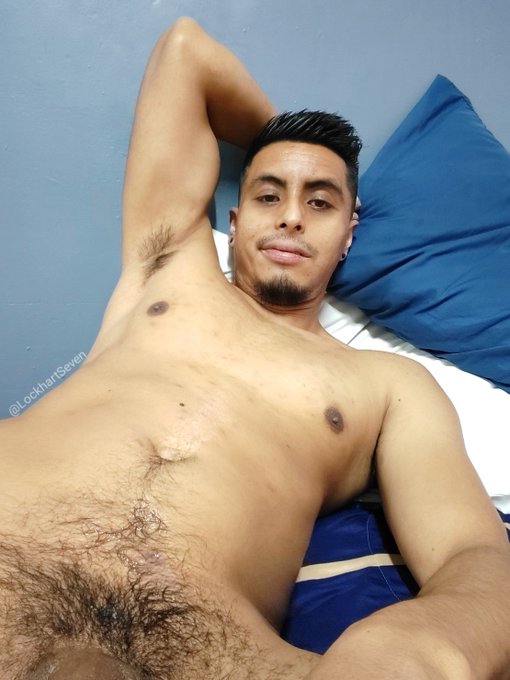 🇱​🇴​🇨​🇰​🇭​🇦​🇷​🇹​ 7 tweet media