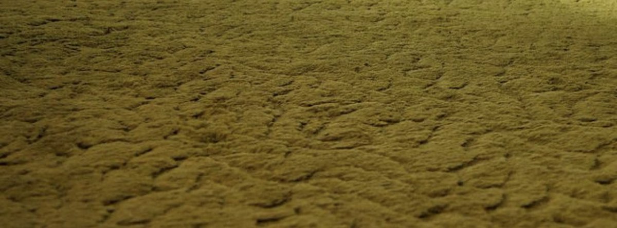 PearlsFromMyrna's tweet photo. Why does it always have to be a red carpet? 

Awards shows should consider a stylish sculpted avocado runner. https://t.co/cTvfg0nsKO